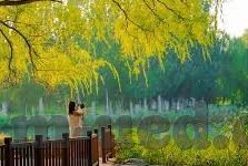 杏彩官网注册网址-杏彩官网注册网址，开启多彩娱乐世界的钥匙